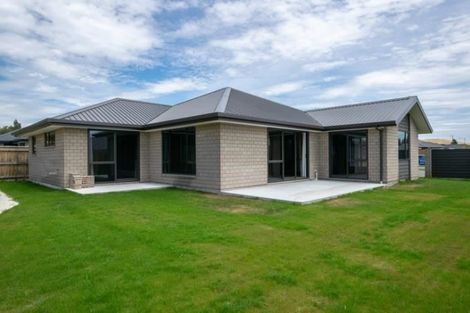 Photo of property in 47 Grigg Drive, Witherlea, Blenheim, 7201