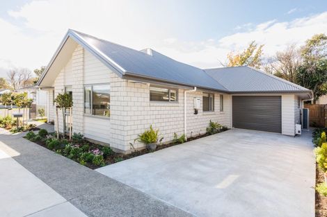 Photo of property in 14b Knowles Street, Terrace End, Palmerston North, 4410