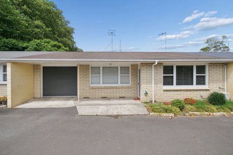Photo of property in 36 Seventeenth Avenue, Tauranga South, Tauranga, 3112
