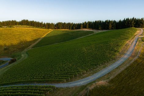 Photo of property in 417 Delta Lake Heights, Renwick, Blenheim, 7271