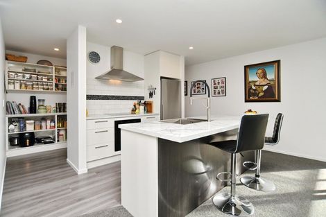 Photo of property in 283 Island Road, Kaiapoi, 7630