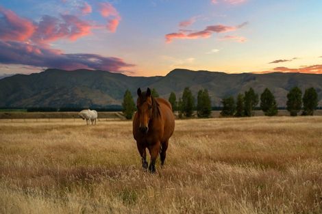 Photo of property in 169 Stevenson Road, Wanaka, 9382