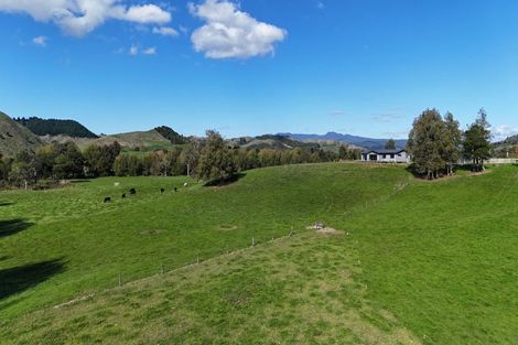 Photo of property in 305 Waitetuna Valley Road, Waitetuna, Raglan, 3295