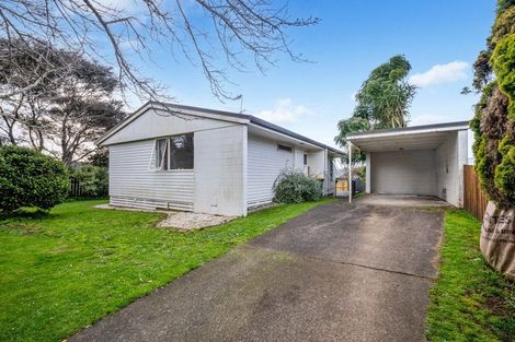 Photo of property in 8 Tawa Place, Waiuku, 2123