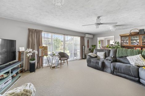 Photo of property in 117 Auckland Road, Greenmeadows, Napier, 4112