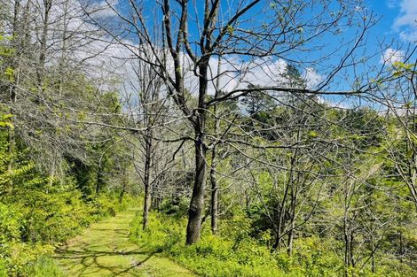 Photo of property in 308 Brown Road, Te Puke, 3188