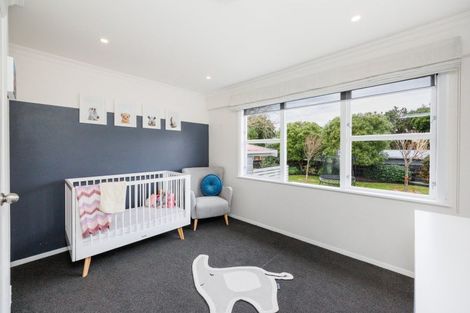 Photo of property in 50 Newcastle Street, Hokowhitu, Palmerston North, 4410