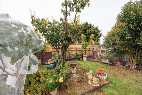 Photo of property in 67 Winchester Street, Ashhurst, 4810