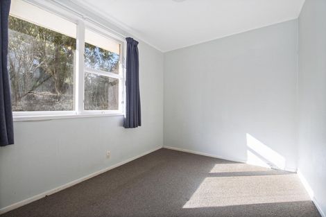 Photo of property in 158a Pembroke Street, Hamilton Lake, Hamilton, 3204