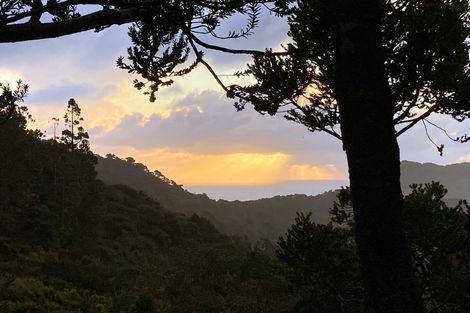 Photo of property in 103 Lone Kauri Road, Karekare, Auckland, 0772