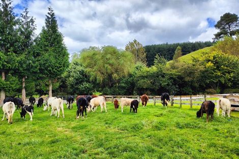 Photo of property in 1765 Tutukau Road, Ohakuri, Reporoa, 3083