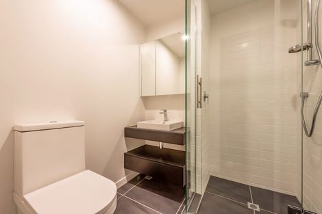 Photo of property in Pinnacle Apartments, E202/160 Victoria Street, Te Aro, Wellington, 6011