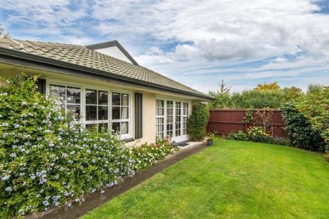 Photo of property in 29a Rata Street, Maeroa, Hamilton, 3200