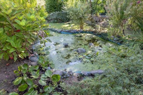 Photo of property in 84 Macarthur Street, Levin, 5510