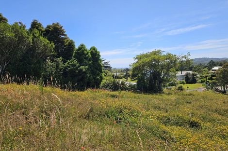 Photo of property in 43 Ward Street, Runanga, 7803