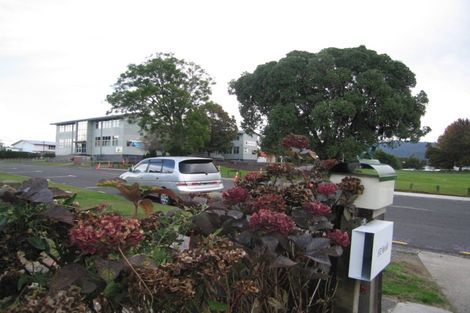 Photo of property in 46c Beatty Avenue, Te Puke, 3119
