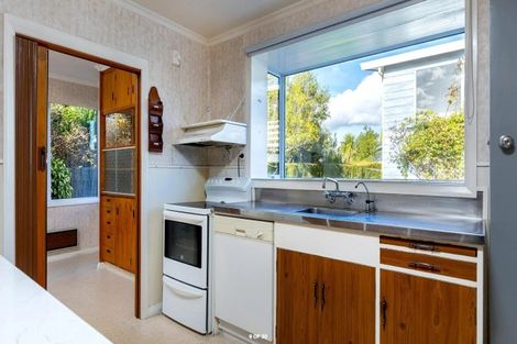 Photo of property in 51 Dillon Street, Blenheim, 7201