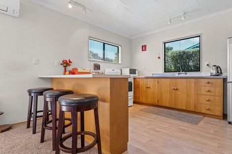 Photo of property in 3/21 Dublin Street, Martinborough, 5711