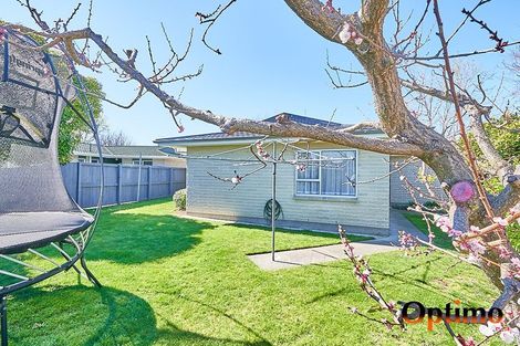 Photo of property in 11 Mckeefry Avenue, Greenmeadows, Napier, 4112