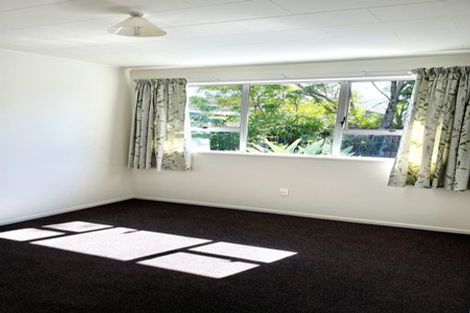 Photo of property in 16 Argosy Place, Blenheim, 7201