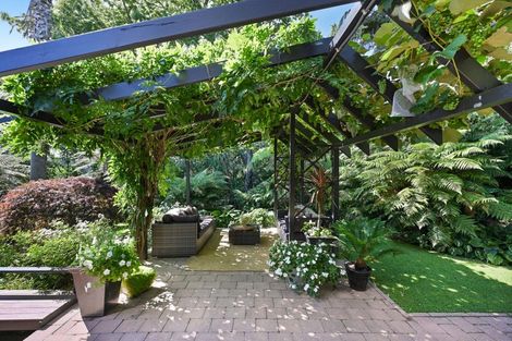 Photo of property in 1b Wellington Street, Hamilton East, Hamilton, 3216