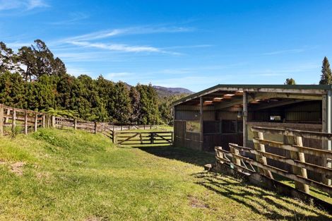 Photo of property in 274 Hot Springs Road, Tahawai, Katikati, 3178