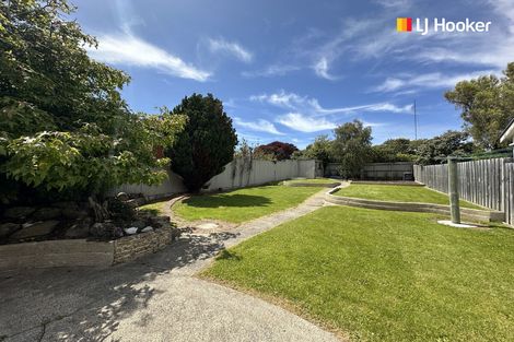 Photo of property in 20 Oakland Street, Andersons Bay, Dunedin, 9013