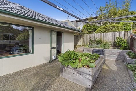Photo of property in 29b Butler Street, Maori Hill, Dunedin, 9010