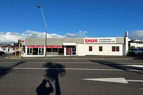 Photo of property in 336 Devon Street West, New Plymouth, 4310