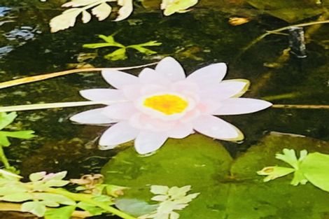 Photo of property in 185 Pongakawa Valley Road, Lake Rotoma, Rotorua, 3074