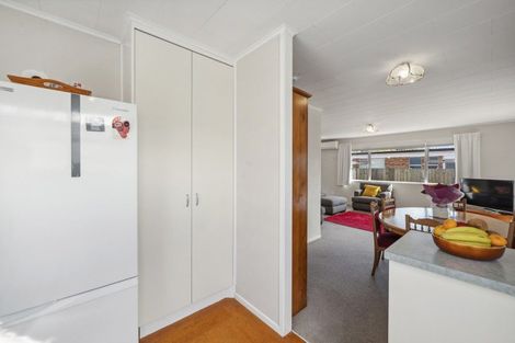 Photo of property in 52b Malfroy Road, Victoria, Rotorua, 3010