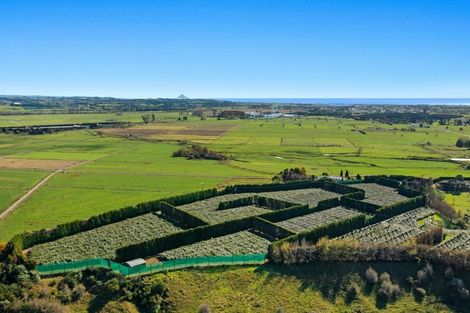 Photo of property in 31 Clark Cross Road, Otara, Opotiki, 3197