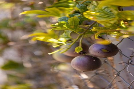 Photo of property in 568 Lepper Road Upper, Kaimiro, Inglewood, 4386