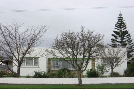 Photo of property in 15 Mckenzie Street, Levin, 5510