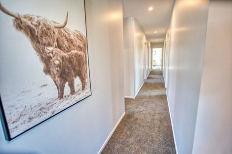 Photo of property in 11a Hinau Crescent, Kaiata, Greymouth, 7805