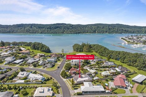 Photo of property in 119 Moana Anu Anu Avenue, Whangamata, 3620