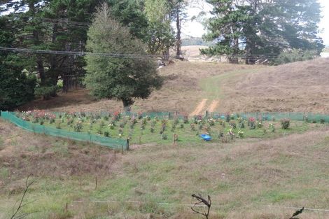 Photo of property in 225 Te Akau Road, Waingaro, Ngaruawahia, 3793