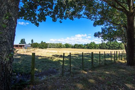 Photo of property in 317 West Bush Road, Upper Plain, Masterton, 5888