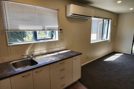 Photo of property in 127 Brougham Street, Addington, Christchurch, 8024