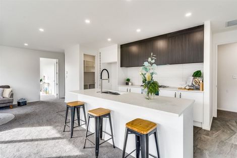 Photo of property in 9 Mills Road, Marshland, Christchurch, 8051