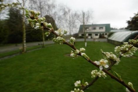 Photo of property in 166 Longview Road, Sutherlands, Pleasant Point, 7983