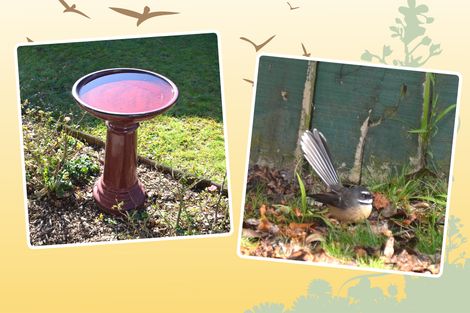 Photo of property in 29 Valley Road, Kawerau, 3127