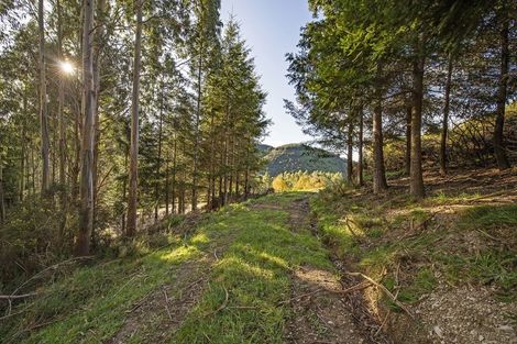 Photo of property in 255 Glentui Bush Road, Glentui, Oxford, 7495