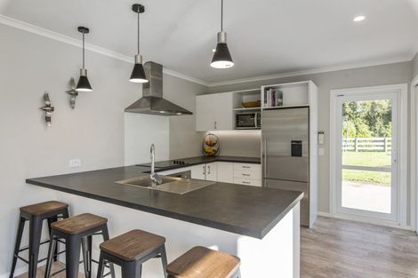 Photo of property in 105 Peka Peka Road, Peka Peka, Waikanae, 5391