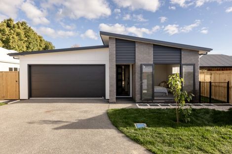 Photo of property in 11d Western Avenue, Omokoroa, 3114