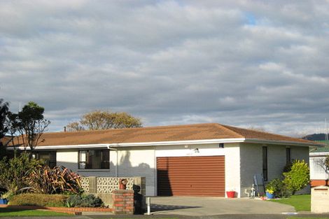 Photo of property in 51 Burn Street, Levin, 5510