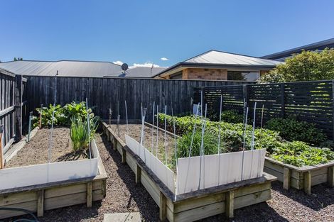 Photo of property in 3 Belgrave Drive, Rangiora, 7400