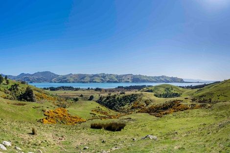 Photo of property in 452 Harington Point Road, Lower Portobello, Dunedin, 9077