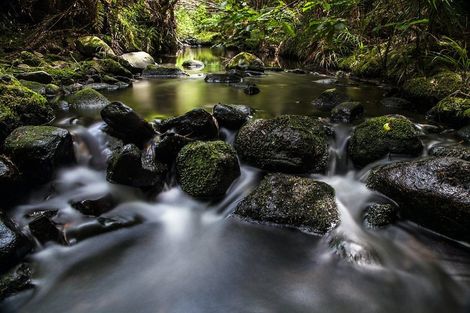 Photo of property in 134 Lone Kauri Road, Karekare, New Lynn, 0772