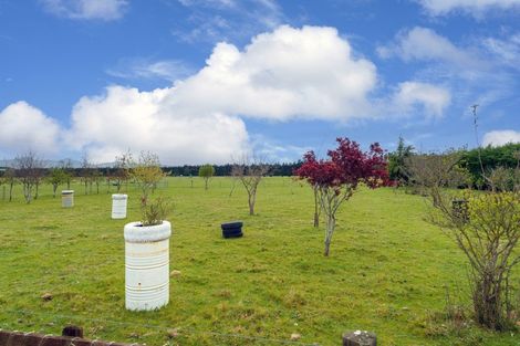 Photo of property in 342 Innes Road, Glasnevin, Amberley, 7482